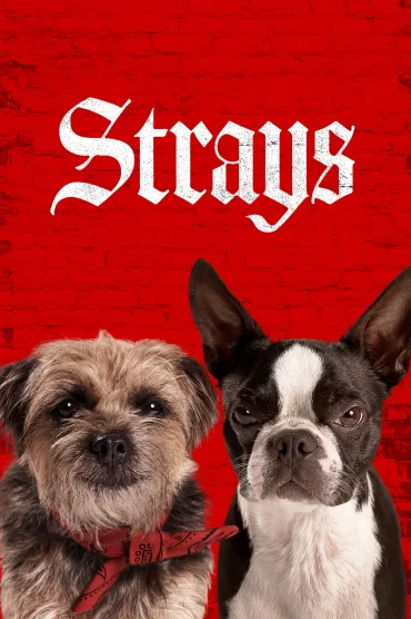 Strays